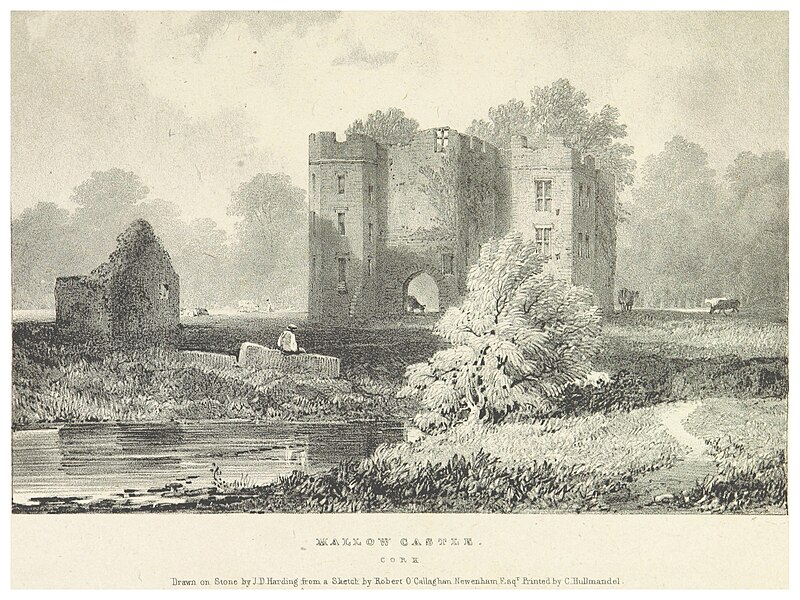 Mallow Castle