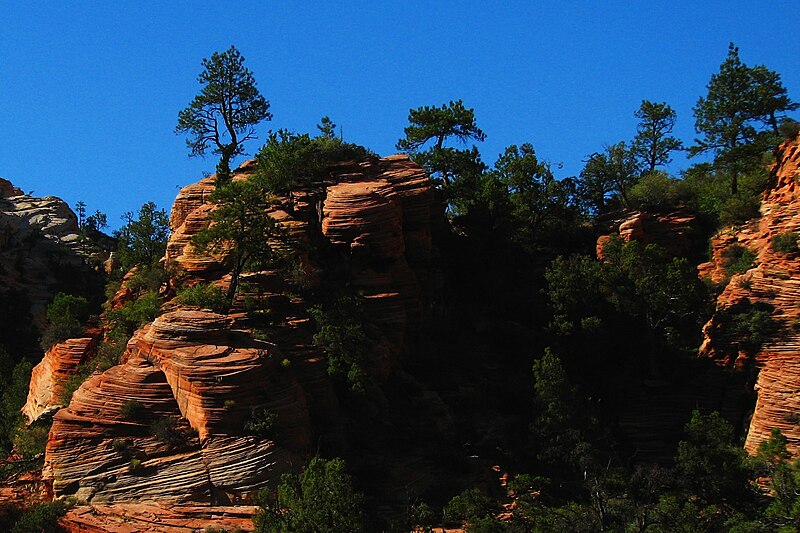 Zion National Park