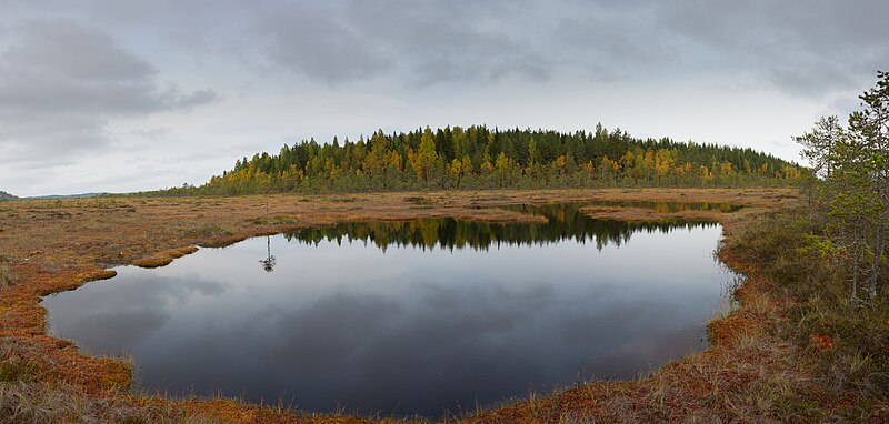 Torronsuo National Park
