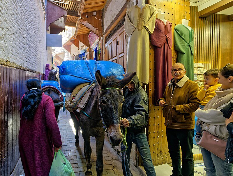 Medina of Fez