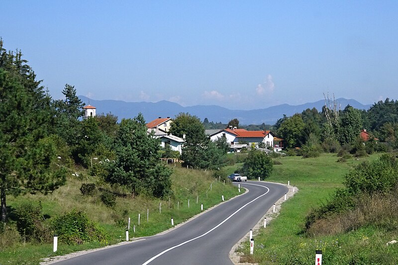 Parje