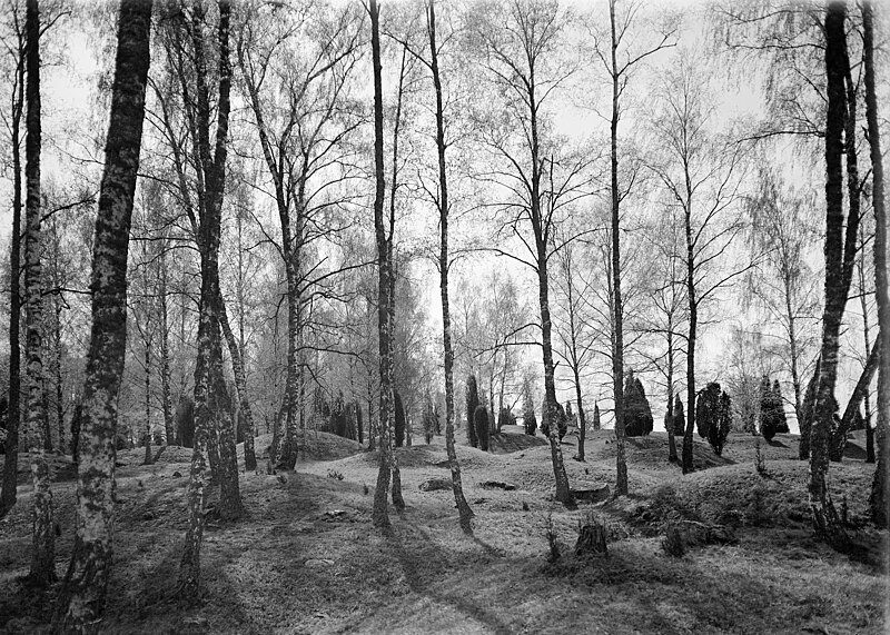 Birka