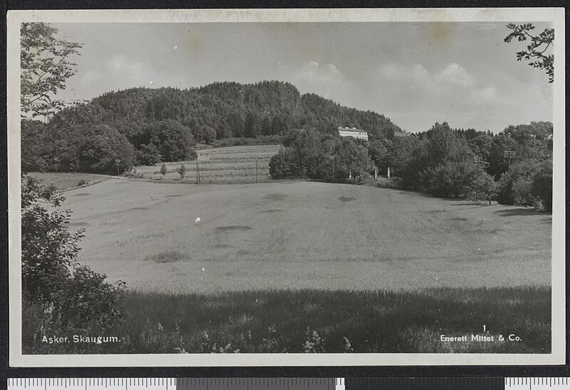 Skaugum