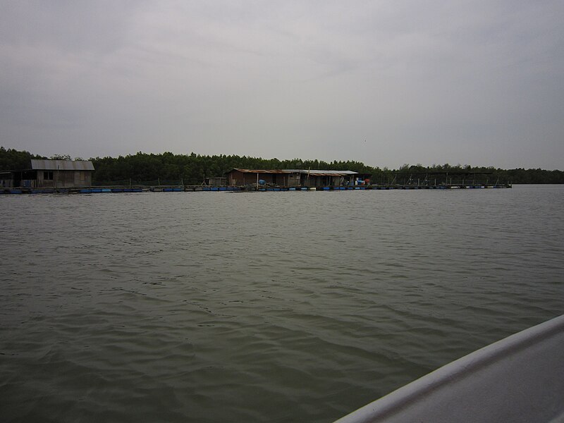 Pulai River