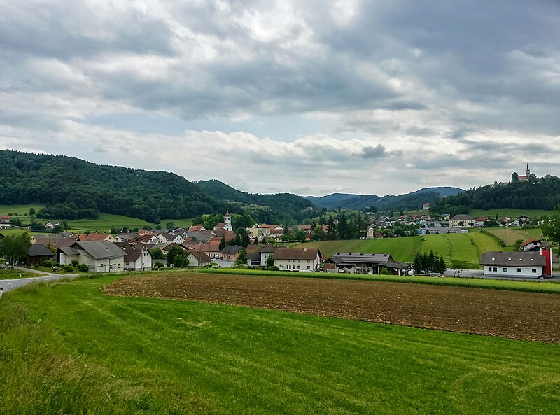 Mokronog