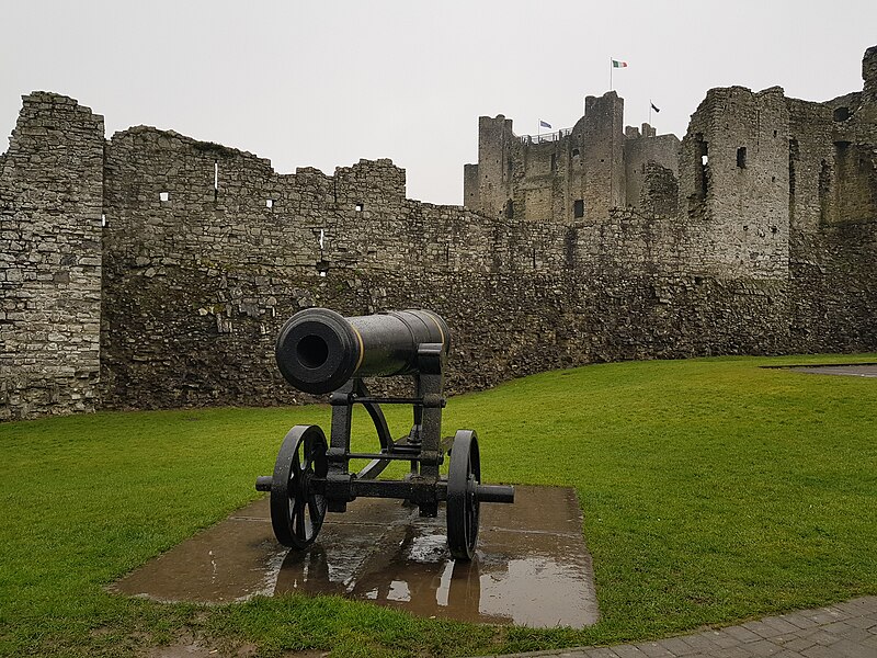 Trim Castle