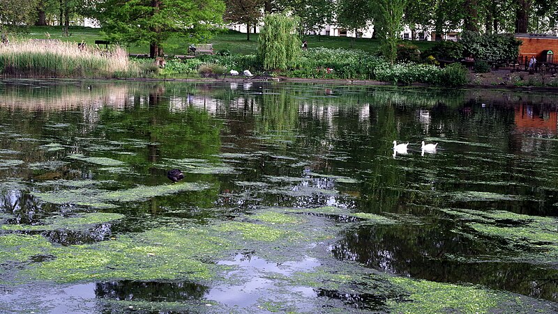 St James's Park