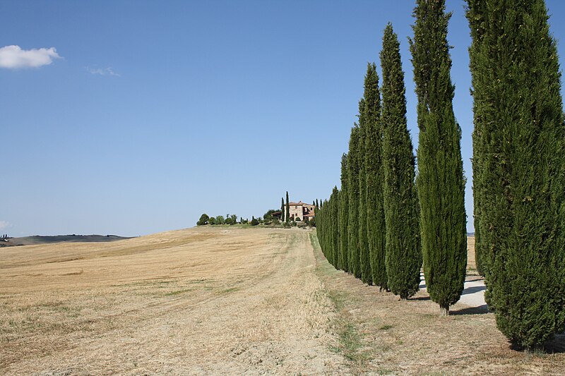 Val d'Orcia