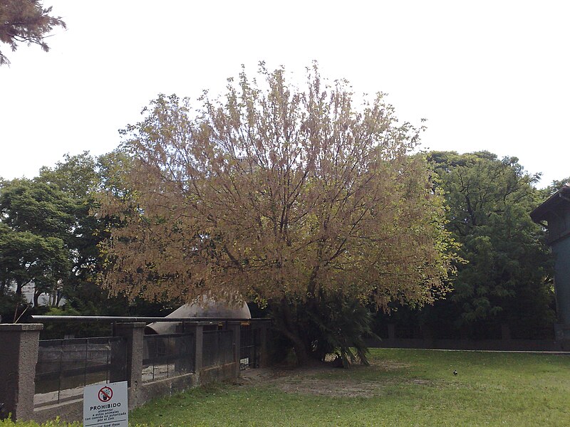 Buenos Aires Eco-Park