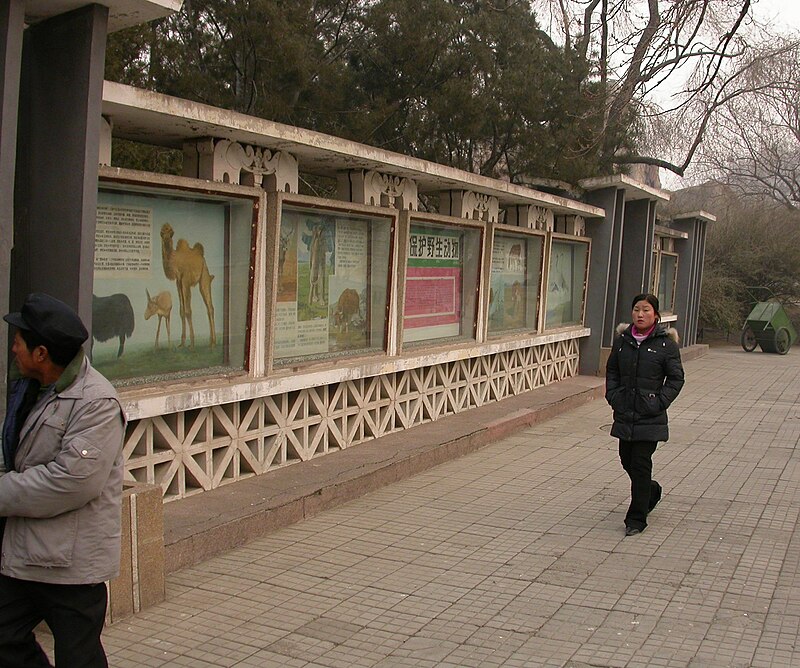 Beijing Zoo
