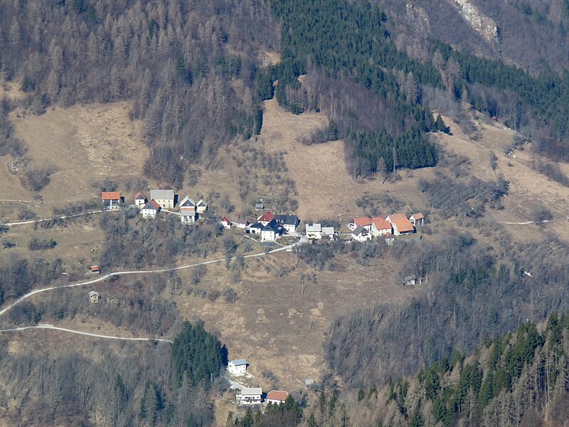 Trtnik