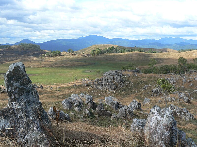Virachey National Park