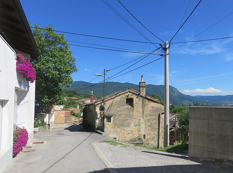 Dolga Poljana