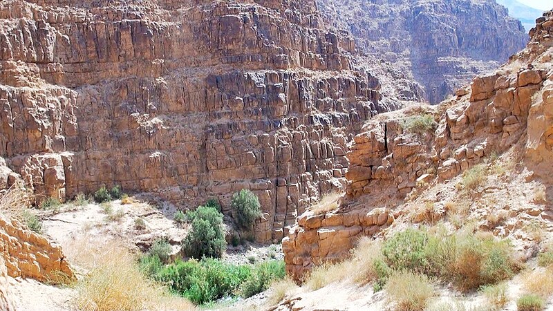 Mujib Biosphere Reserve