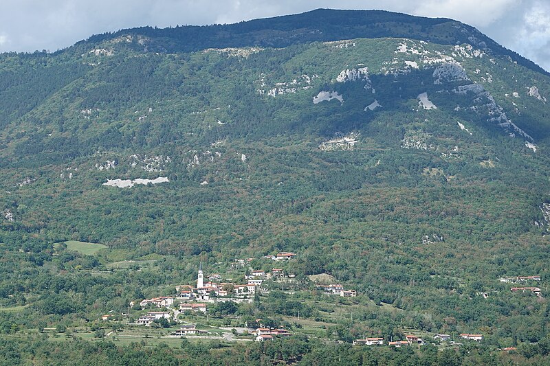 Stomaž