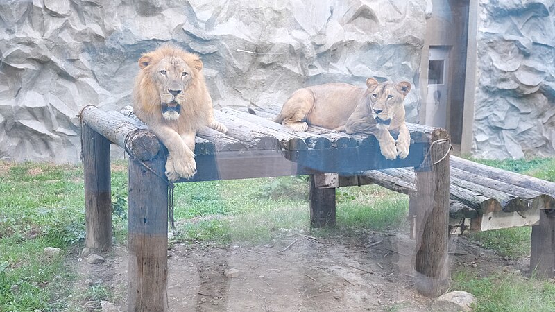 Manila Zoological and Botanical Garden