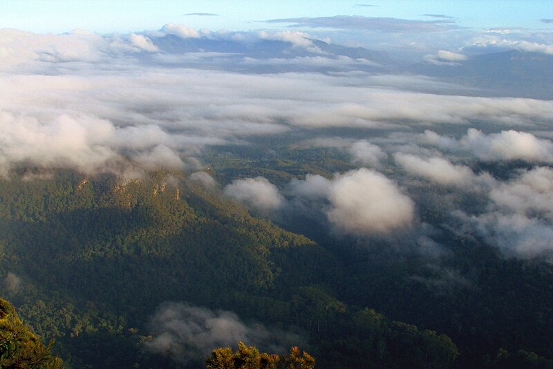 Wollumbin National Park