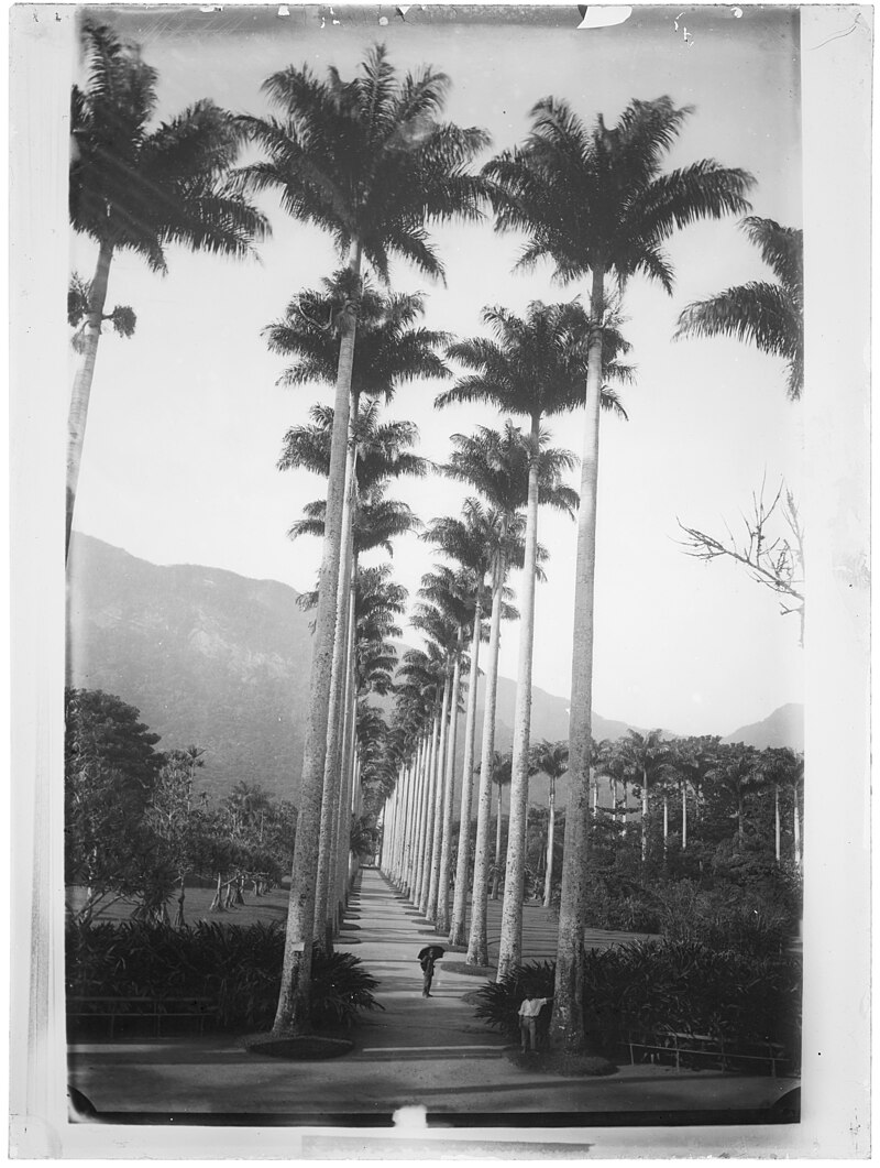 Jardim Botânico