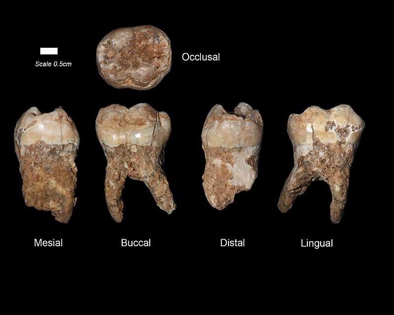 Qesem Cave
