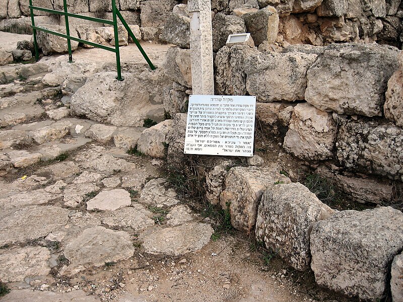 Susya