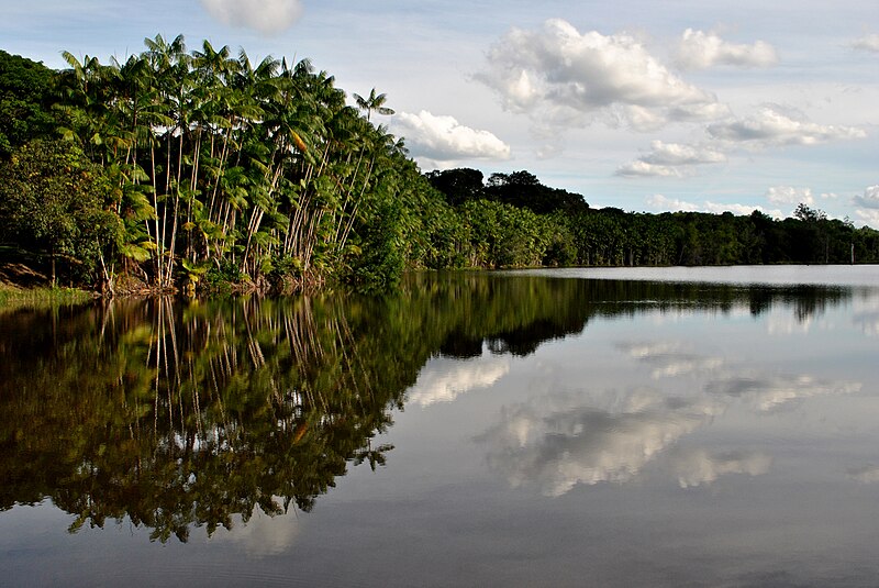 Discovery Coast Atlantic Forest Reserves