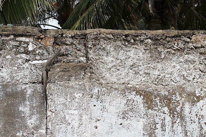 Galle Fort