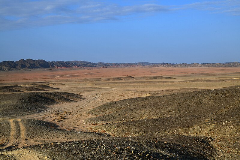 Wadi el Gamal National Park