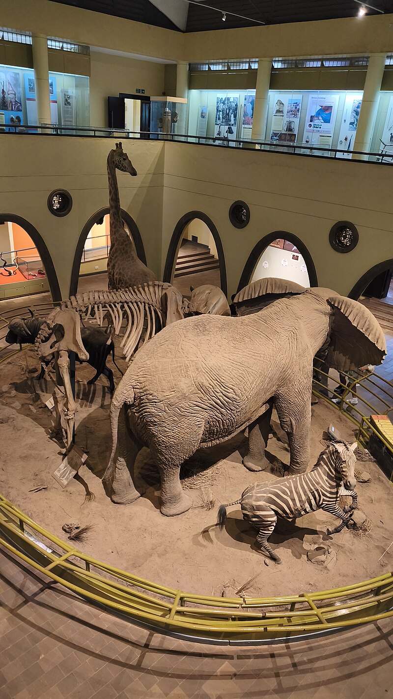 Nairobi National Museum
