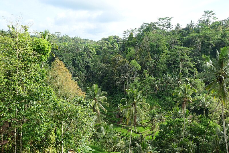 Gunung Kawi