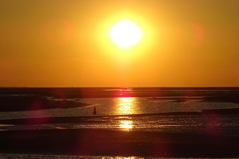 Wadden Sea