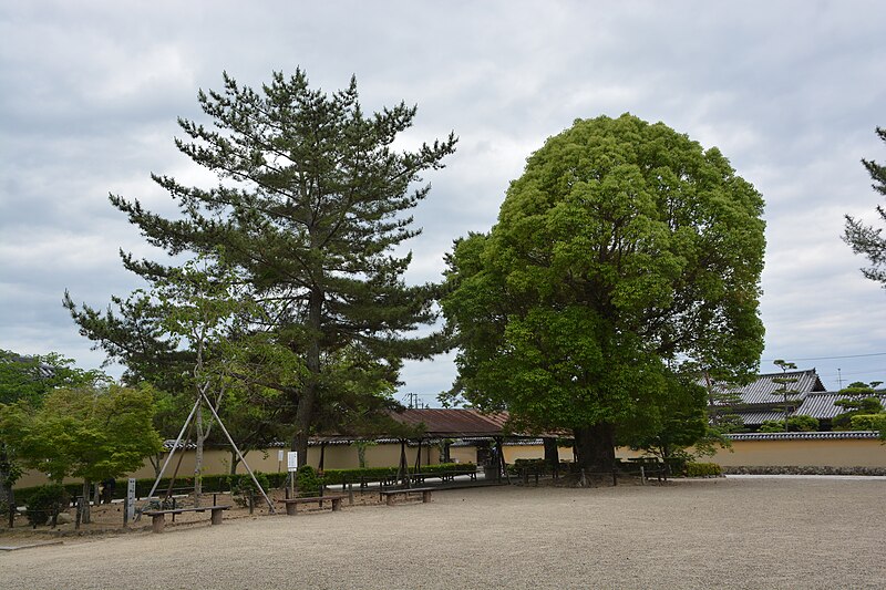 Hōryū-ji Temple