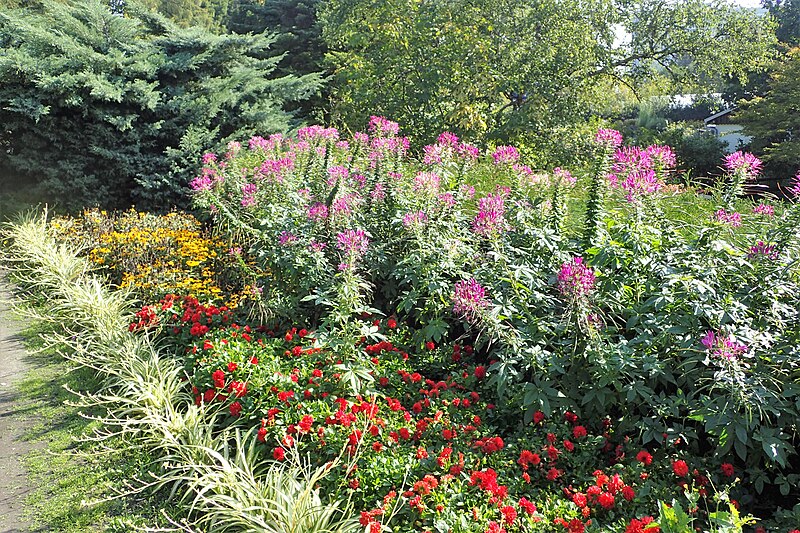 Botanic Garden of the Jagiellonian University