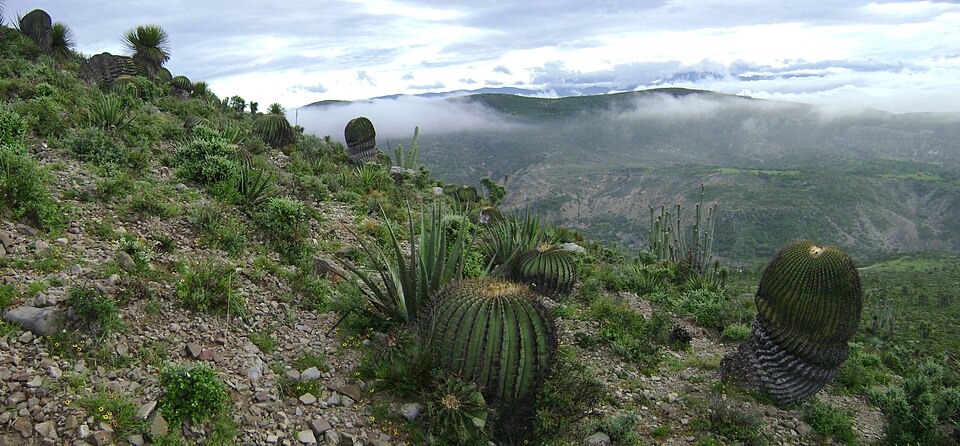 Tehuacán Valley