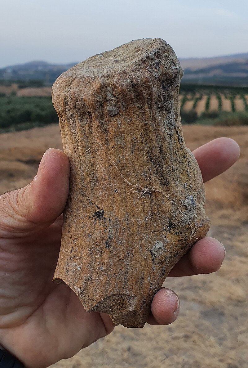Ubeidiya prehistoric site
