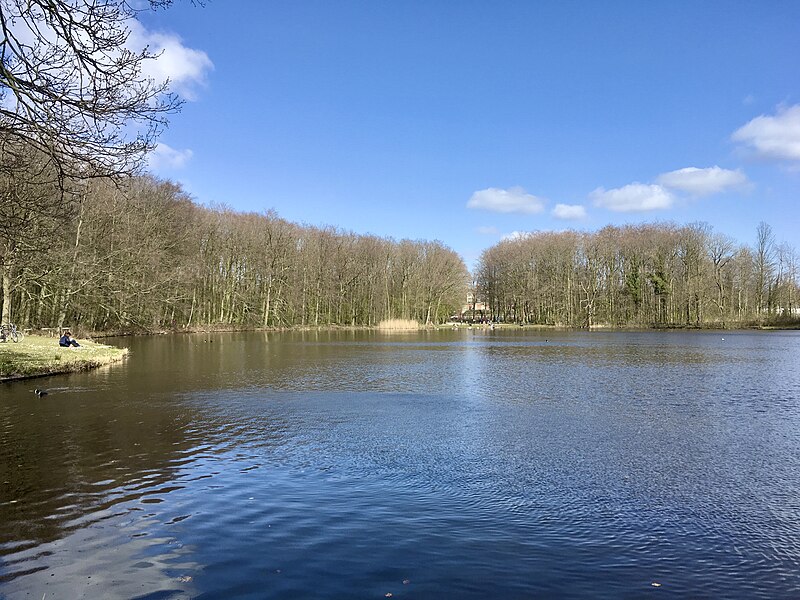 Haagse Bos