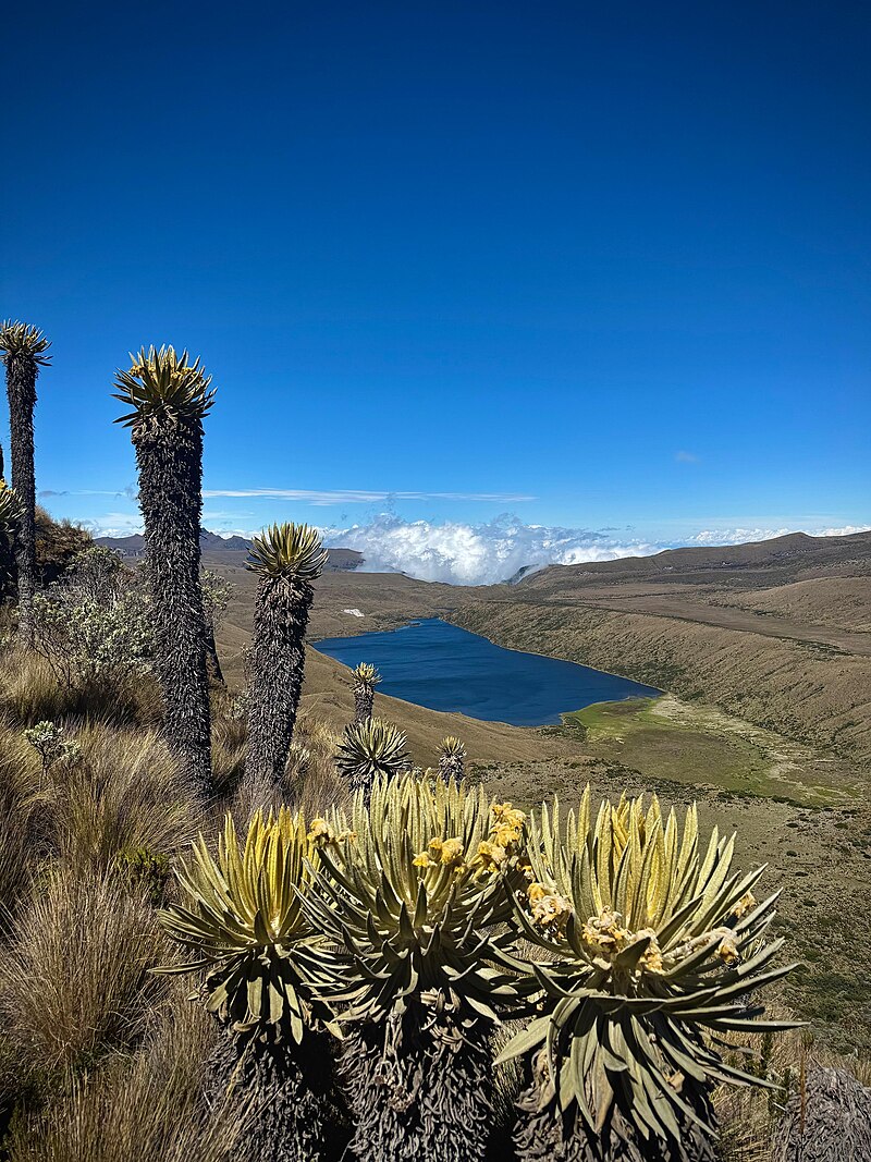 Lake Otún