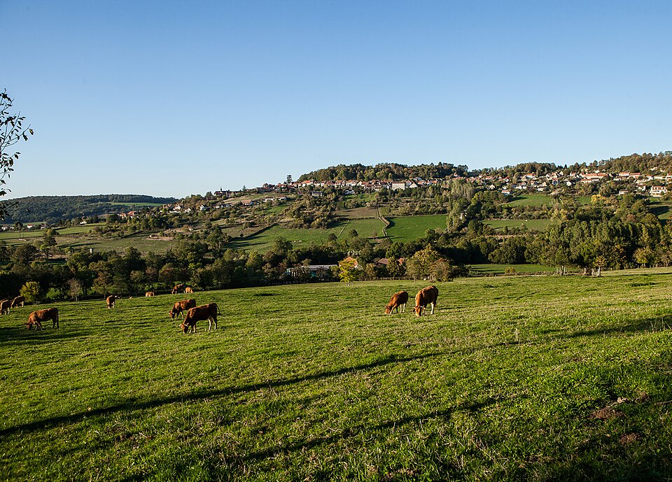 Alise-Sainte-Reine