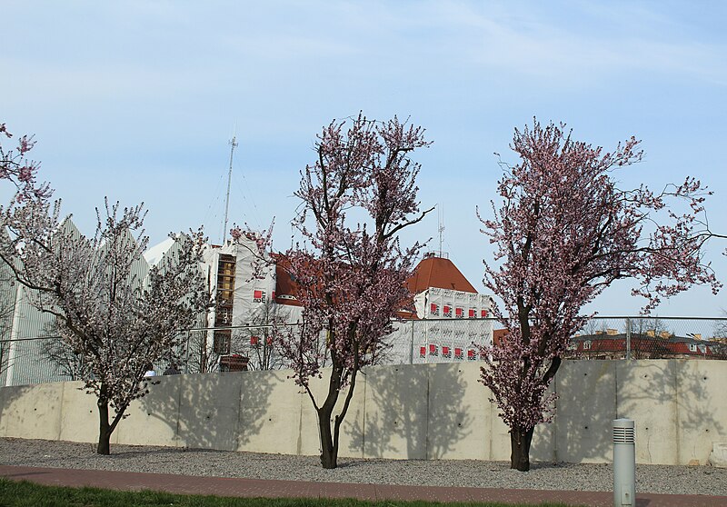 National Museum in Szczecin