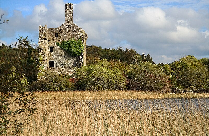 Dromore Castle