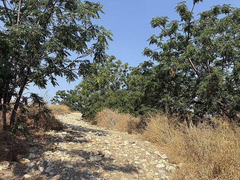 Tel Kabri