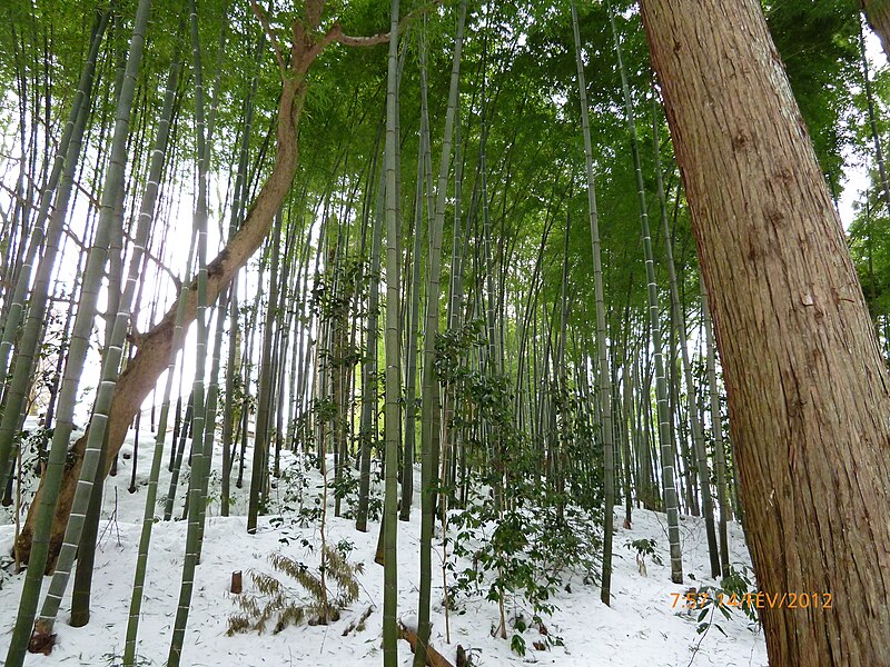 Hiraizumi – Temples, Gardens and Archaeological Sites Representing the Buddhist Pure Land