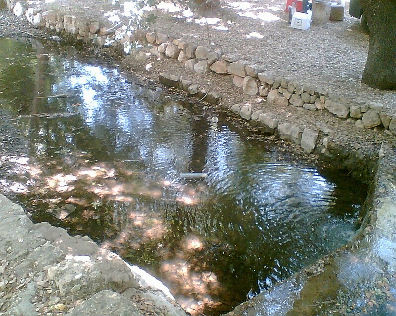 Ein Hemed
