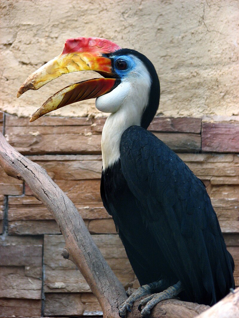 Attica Zoological Park