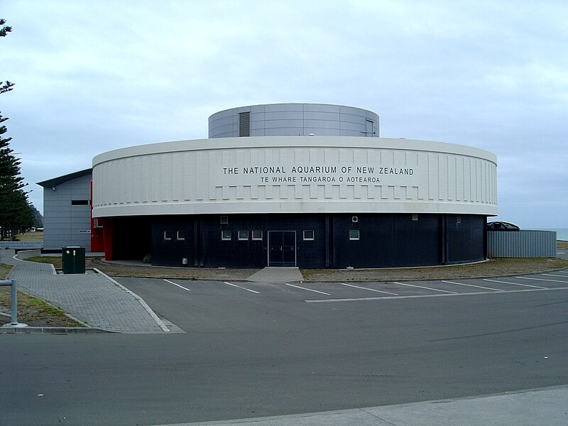 National Aquarium of New Zealand