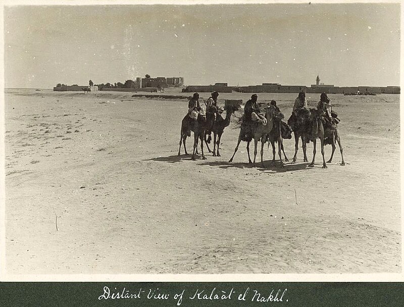 An-Nekhel Fortress