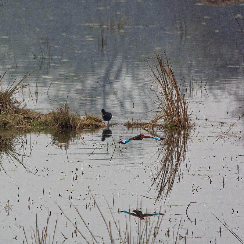 Sultanpur National Park