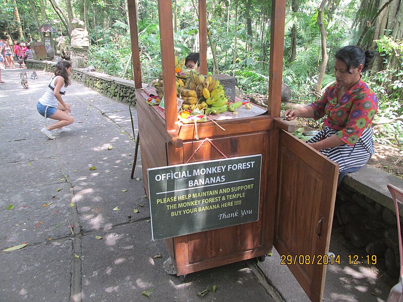 Ubud Monkey Forest