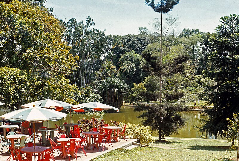 Singapore Botanic Gardens