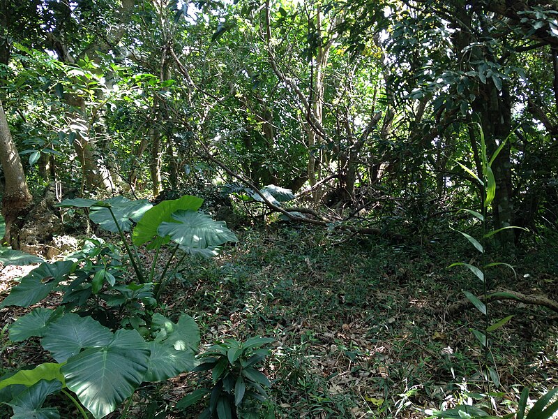 Sefa-utaki