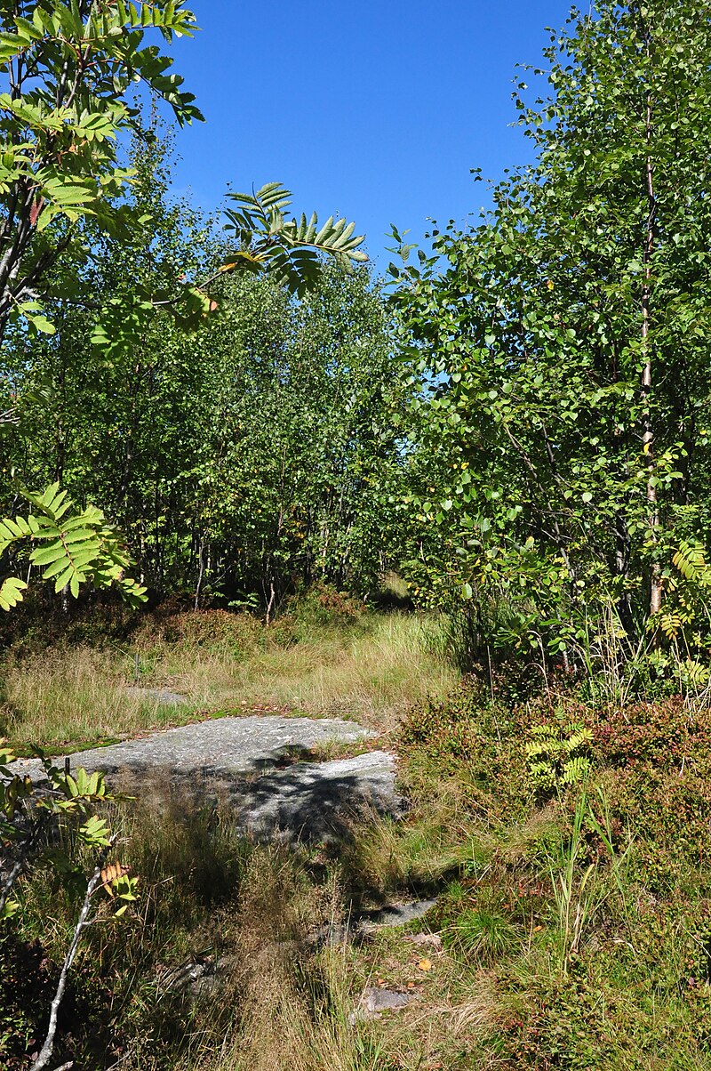 Frognerseteren